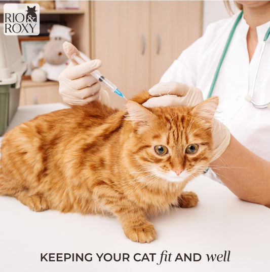 10 Warning Signs Your Cat May Be Sick